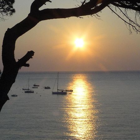 Hotel La Torre Calella De Palafrugell Kültér fotó