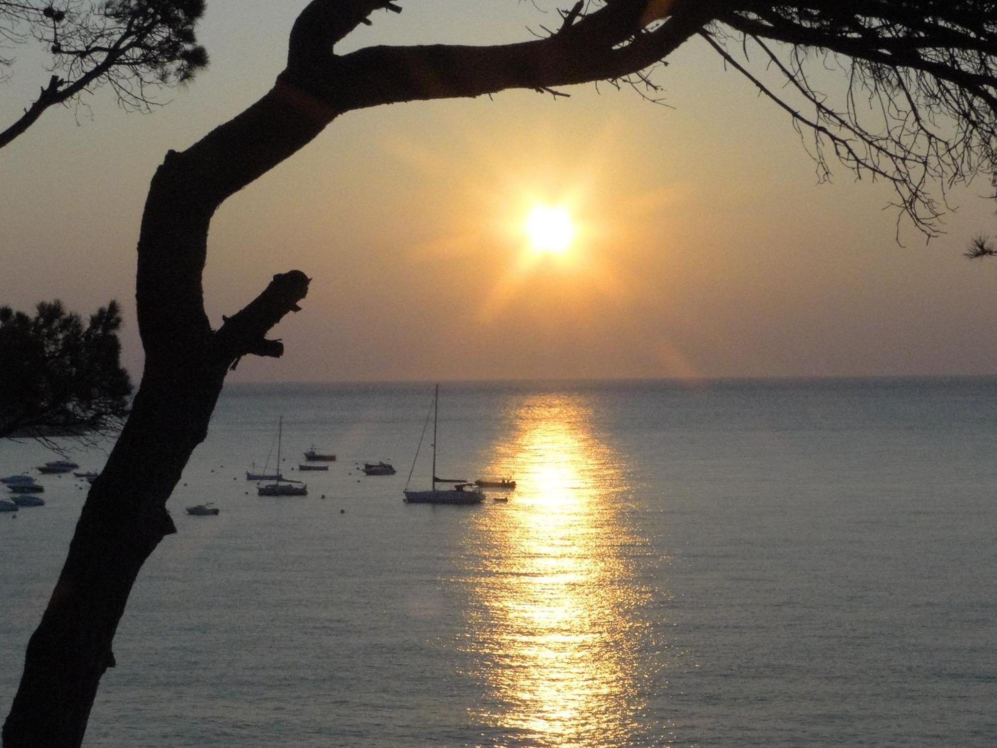 Hotel La Torre Calella De Palafrugell Kültér fotó